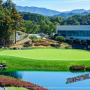 영동 일라이트CC 이미지