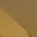 서울윌치과의원 이미지