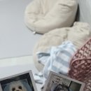 율하위드동물병원