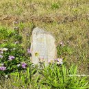 괴산군탄생600주년기념공원 이미지