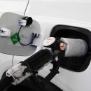 정석태양광발전소 이미지