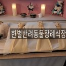 예와정성 이미지