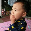 종합운동장야외 이미지