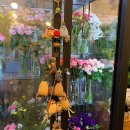 대곡플라워 이미지