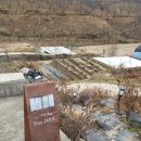 스테이돌레