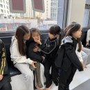 JTA 한숲의 아침 합기도 이미지