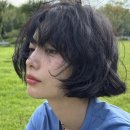 조에룸 이미지