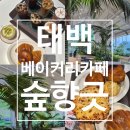 숲향 | 태백 황지동 대형 식물 베이커리 카페 추천 빗소리와 빵 향 가득한 숲향긋 오픈런 후기