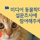 카라 미디어 이미지
