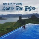 수네가 독채 풀빌라펜션 | 제천 수네가 독채 풀빌라 가족여행 후기💙 10인 대가족 여름휴가 찐리뷰 (수영장/바베큐장 有)