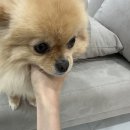 네일위드502 이미지