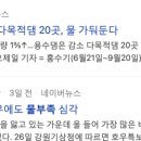 리온피티 이미지