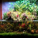 비바리움매니아 이미지