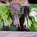 사정농장 이미지