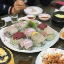 은행나무종합동물병원 이미지