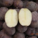 종구농장 이미지