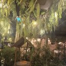 샵 고깃집 이미지