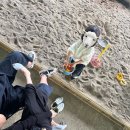 안씨목장 이미지