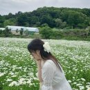 영천동 미용실 영천동 염색 컷트 보브컷 변신 헤어뷰티 리프트 시술 후기