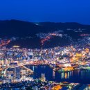 환경설계법인나무