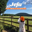 소드리목장 | 제주도 서쪽 무료 관광지 성이시돌목장 시간 카페