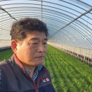 와촌 농장 이미지