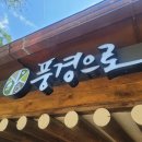 수아리아리애견 이미지