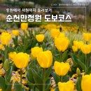 순천만국가정원(동문) | 순천만국가정원 코스 추천(동문 시작 2시간 소요, 지도·관람차 정보까지)
