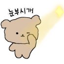 댕이브 이미지