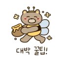 대구솔벤현수막