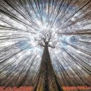 징검다리 이미지