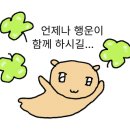 406주짓수