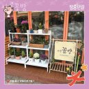 샤론꽃방 네이버블로그