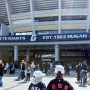 126-1 | 사직 1루 내야상단석126블럭/1루 내야필드석114블럭 후기