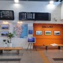 강구역 헤럴드경제