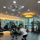 GYM84PT 이미지