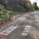 앵강민박 이미지