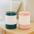 그린화장품(잡화) | 스타벅스 가습기 MSGM 콜라보 득템 후기, 핑크 그린 솔직 비교