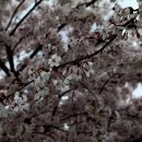 달맞이길 이미지