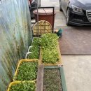 무학산오리하우스 이미지