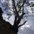 '조국, 알고 있었을 것' 던졌다…성추행 폭로한 강미정 '작심' / JTBC News 이미지