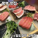 맛나참치 | 평택 참치맛집 [일도참치 고덕본점] 솔직 후기