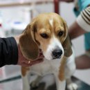 압구정화이트약국 이미지