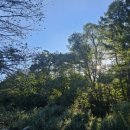 푸른별펜션 이미지