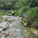 통발집 - 천안시 동남구 수곡2길 8-1 | 백운계곡에서 사용한 어포기(계곡 통발, 플라스틱 어항) 짧은 후기