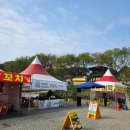 충남 서산 수선화축제 드라마 촬영지로 유명 유기방가옥 명소 서산 여미리 비자나무