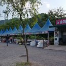 송해코스 네이버블로그
