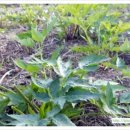 우석농장 이미지