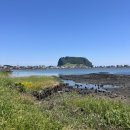 금남여객운수㈜ | 제주 비밀의숲 방문 후기(들어가는 방법, 입장료) | 뚜벅이로 제주 비밀의 숲 찾아가는 방법 | 네이버...