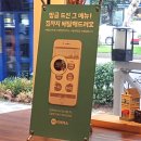 윤쿠치나